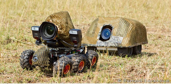 ��֪����ô��Ұ��������д�漯�𣿣�ͼ��