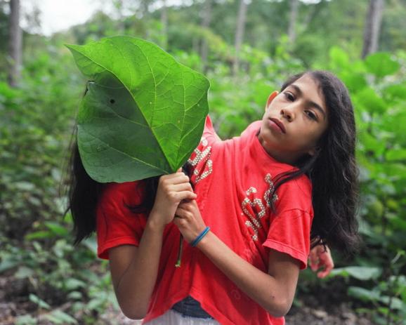 �������11�������¼