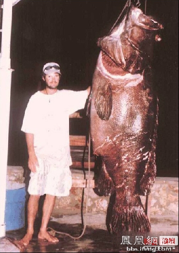 �����𾪵ľ������� �����������Ȥͼ��