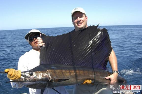 �����𾪵ľ������� �����������Ȥͼ��