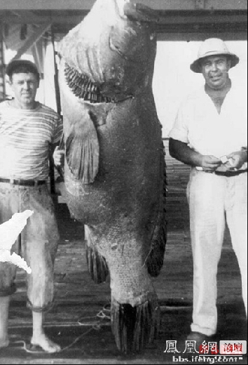 �����𾪵ľ������� �����������Ȥͼ��