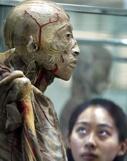 ʬ�岩��� ����ʬ��ӹ��ֳ� ��С���룡