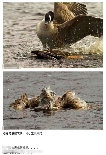 �����޴�������ɫ�� ��ЦͼƬ