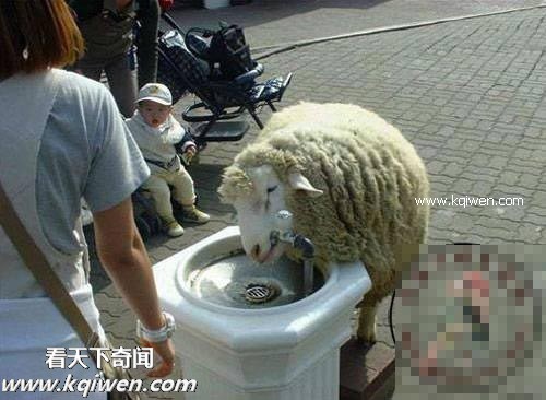 ��Ϊ���ޣ��ҵ�ѹ��Ҳ�ܴ�